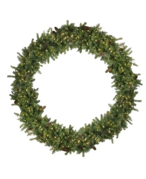 Northlight Pre-Lit Dakota Pine Artificial Christmas Wreath-Warm Led Lights