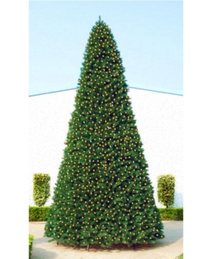 Northlight Pre-Lit Pencil Pine Artificial Christmas Tree