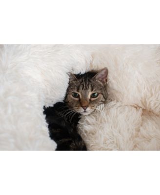 Cuddler Bed C70NBS-S, Ultra Plush And Soft Warming Donut Pet Bed