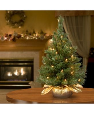 24" Majestic Fir Tree in Gold Cloth Bag with 35 Clear lights