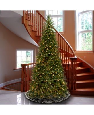 National Tree Company National Tree 10' Dunhill Fir Slim Tree with 900 Clear Lights