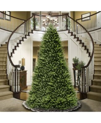 National Tree Company 14 ft. Dunhill R Fir Tree