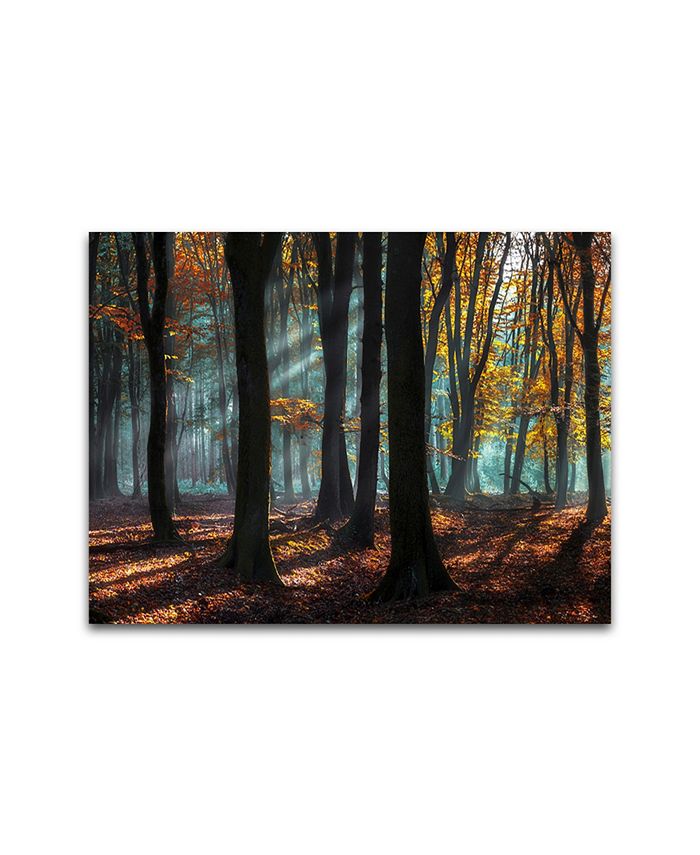 Colossal Images Light and Shadows, Canvas Wall Art - Macy's