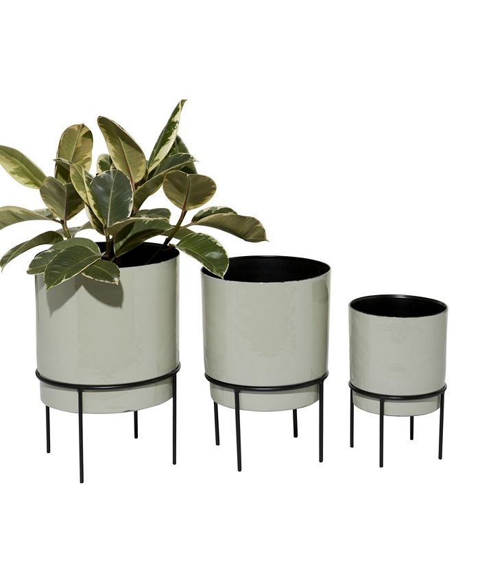 Novogratz Collection - 