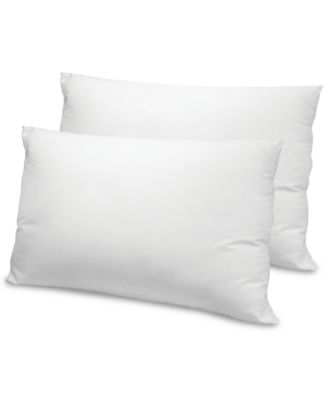 Fresh Clean Ultra Fresh Antimicrobial 2 Pack Pillows Standard