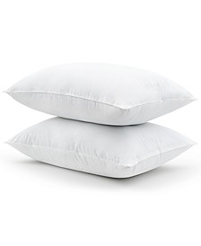 Organic Cotton Pack of 2 Standard/Queen Pillows  
