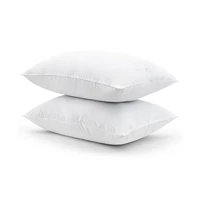 2-Pack Earth + Home Organic Cotton Standard/Queen Pillow Deals