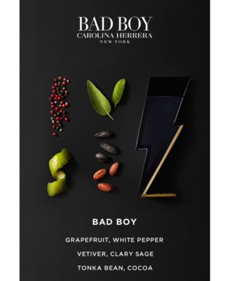 Men's Bad Boy Deodorant Spray, 3.4 oz.