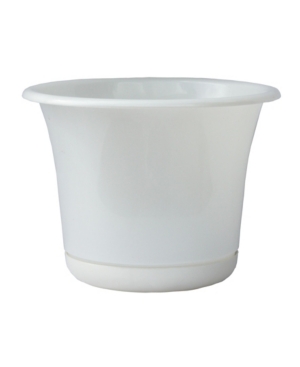 Bloem Expressions Planter with 10
