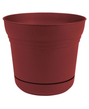 Bloem Saturn Planter with 7