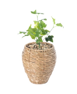 Vintiquewise Woven Round Small Flower Pot Planter Basket In Brown