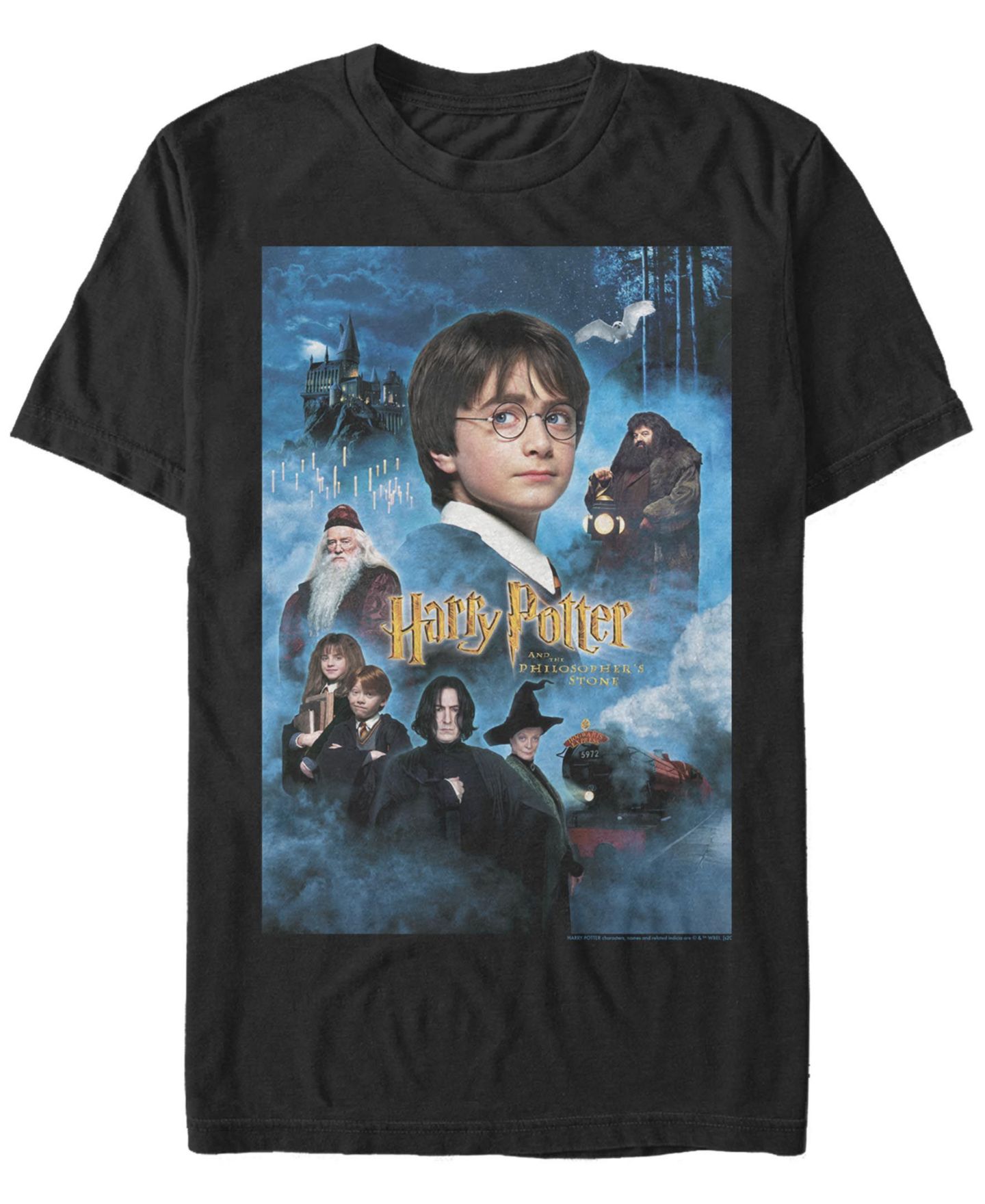 Мужская футболка Fifth Sun Harry Candles Poster Short Sleeve Crew, цвет: Чёрный — фото 1