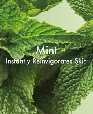 Checks & Balances™ Polishing Face Scrub, 2.5 oz.