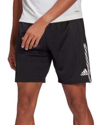 adidas shorts macy's