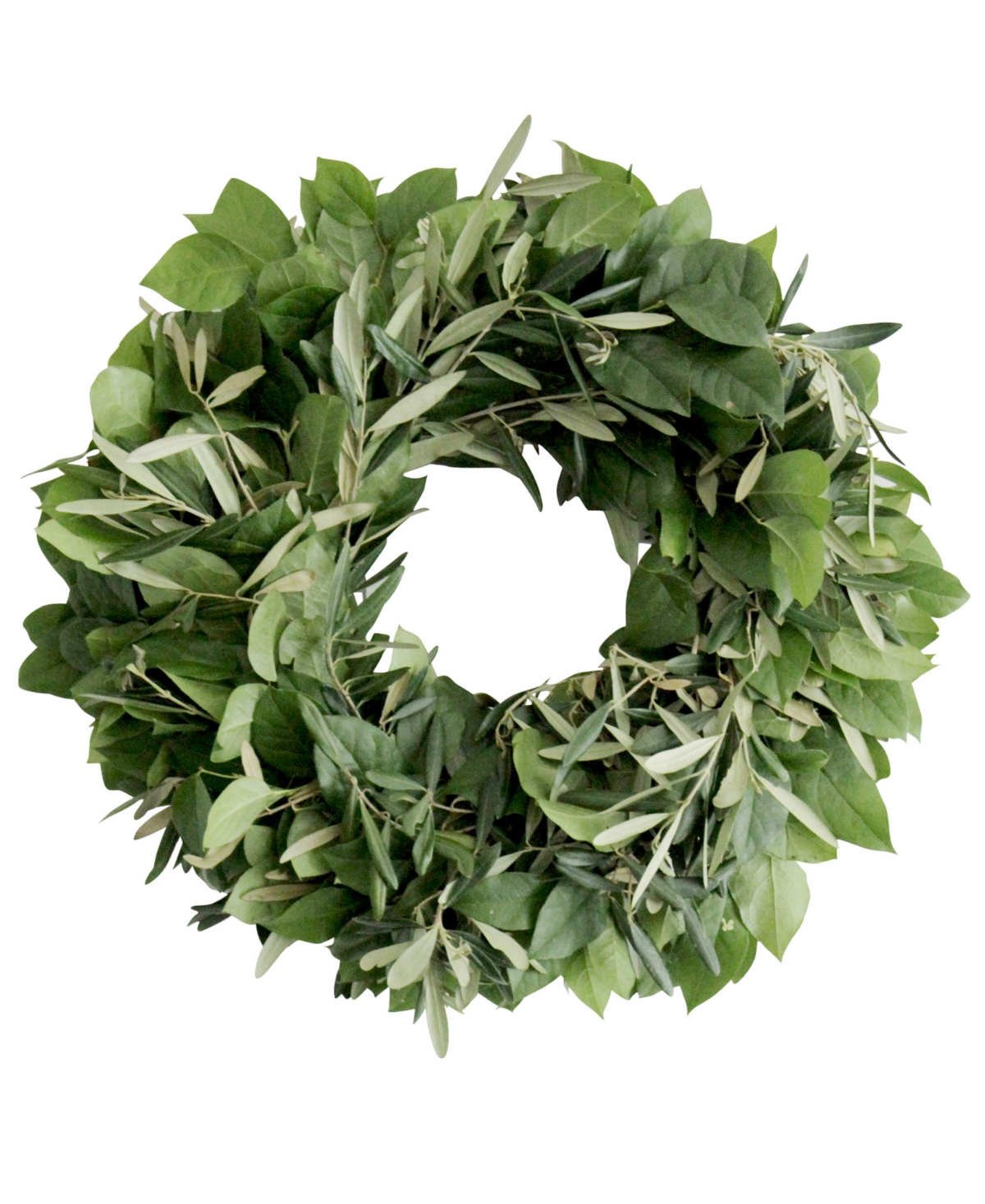 Fresh Olive and Lemon Leaf Wreath, 20"