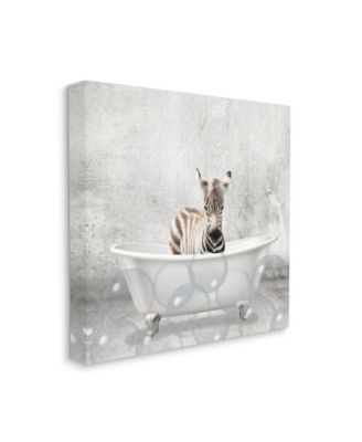 Baby Zebra Bath Time Cute Animal Design Stretched Canvas Wall Art, 17" x 17"