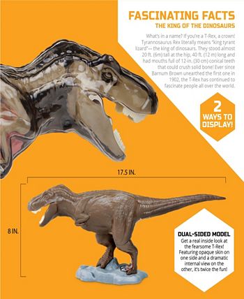 T rex anatomy store toy