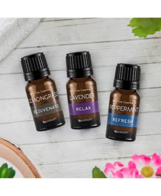 SpaRoom Aromatherapy 3-Pk. Pure Essential Oil