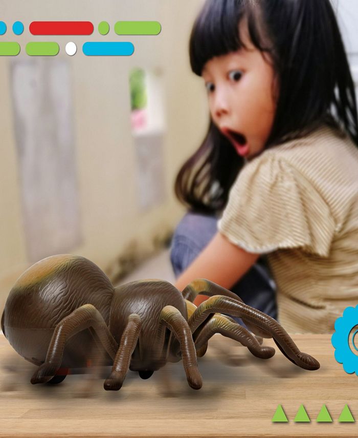 Discovery Kids Remote Control Moving Tarantula Spider Toy - Macy's