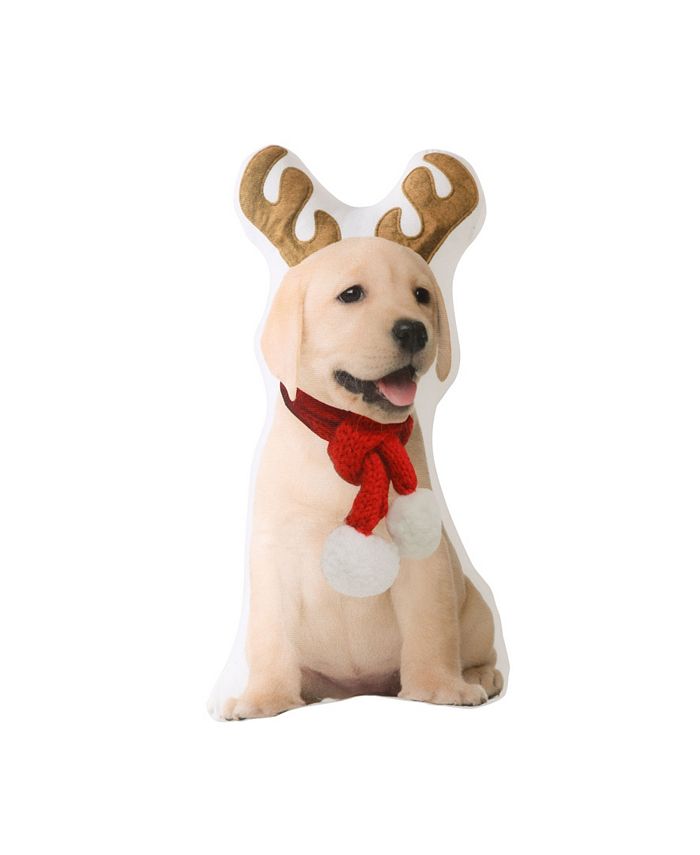 Lacourte Lucky Ears Pet Pillow, 12" x 18" Macy's