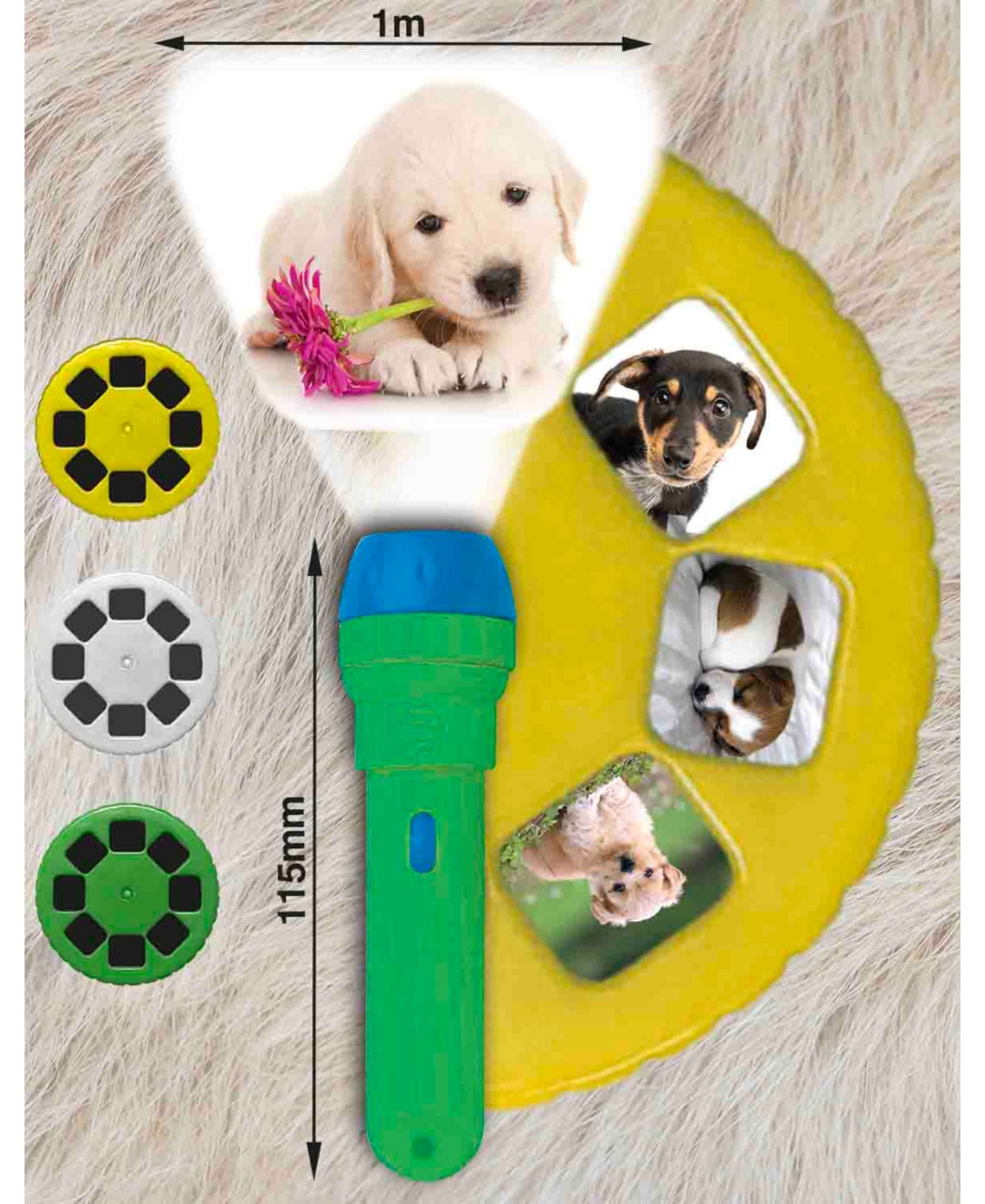Shop Brainstorm Toys Puppies Torch And Projector In Multi