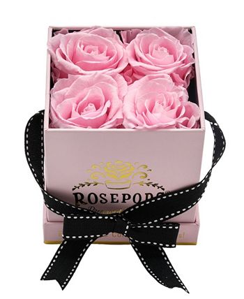 Rosepops - 
