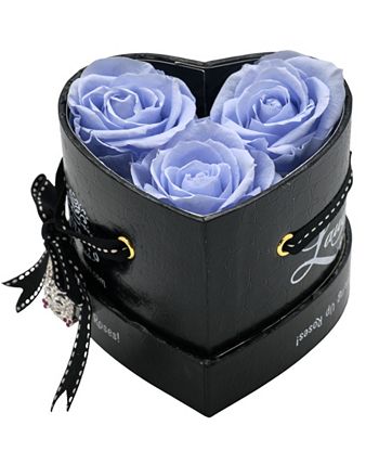 Rosepops - 
