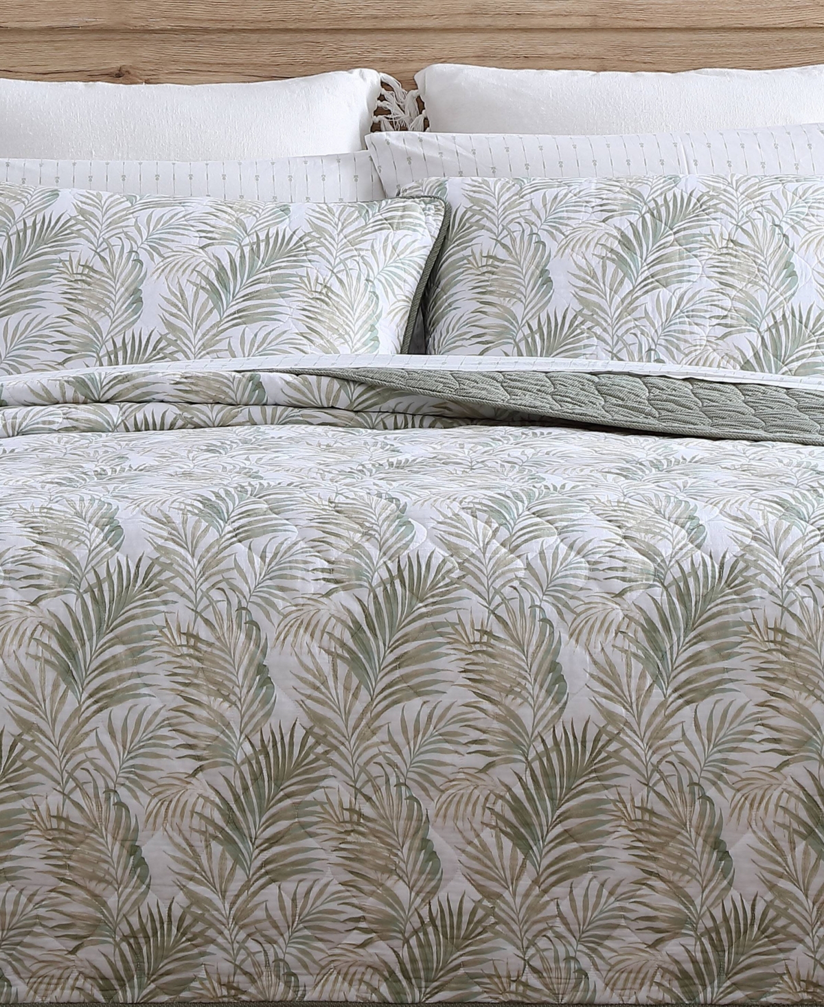Closeout! Tommy Bahama Home Maui Palm Cotton Reversible 3 Piece Quilt Set