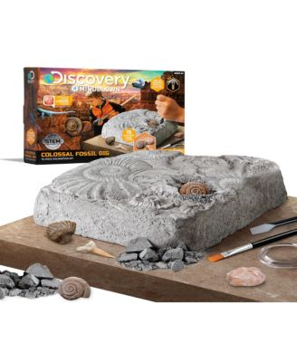 ColossalFossil Dig Set, 15-Piece Archeology Excavation Kit 