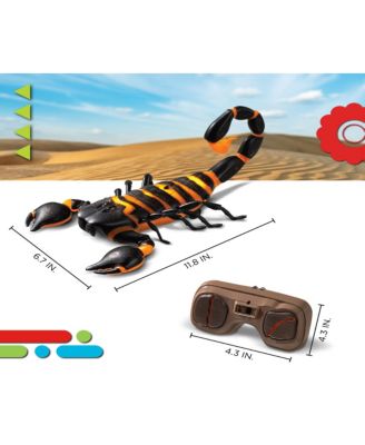 RC Scorpion, Glow In The Dark Body, Wireless Remote-Control Toy for Kids