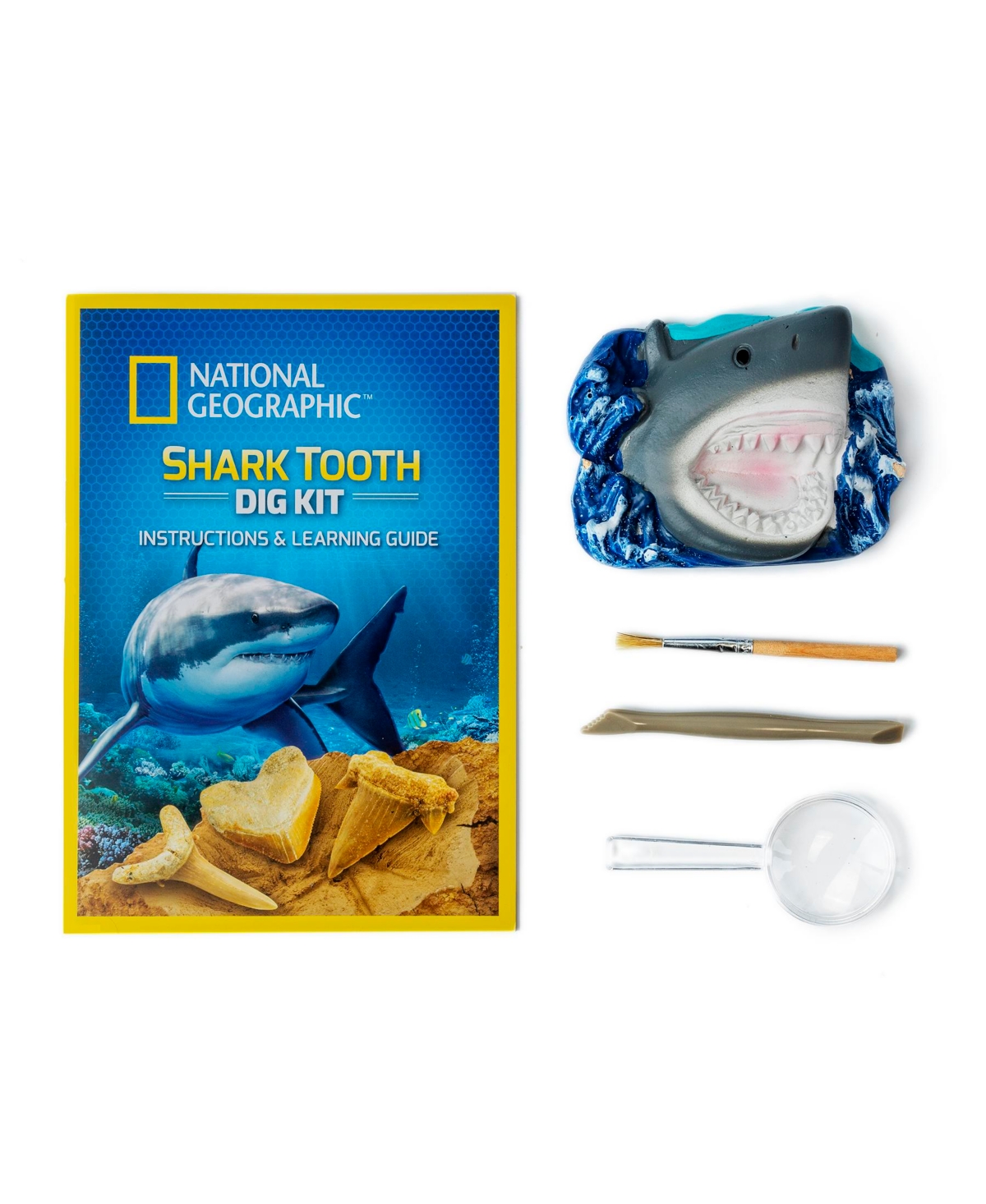 Shop National Geographic Shark Tooth Dig Kit In N,a