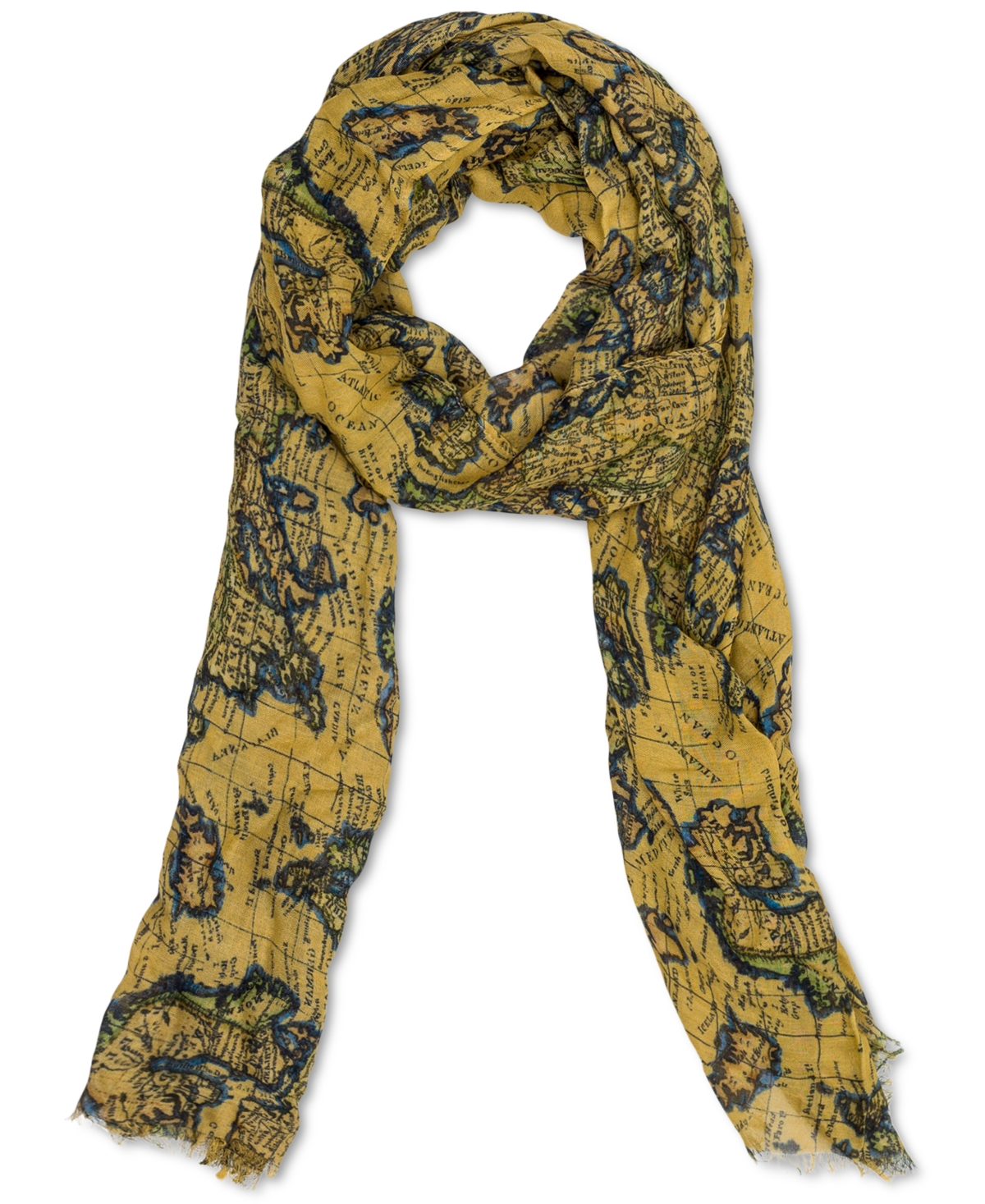 Shop Patricia Nash Vintage Print Scarf In European Map
