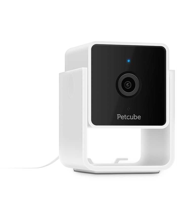 Petcube Smart HD Pet Camera Macy's