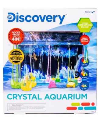 Discovery