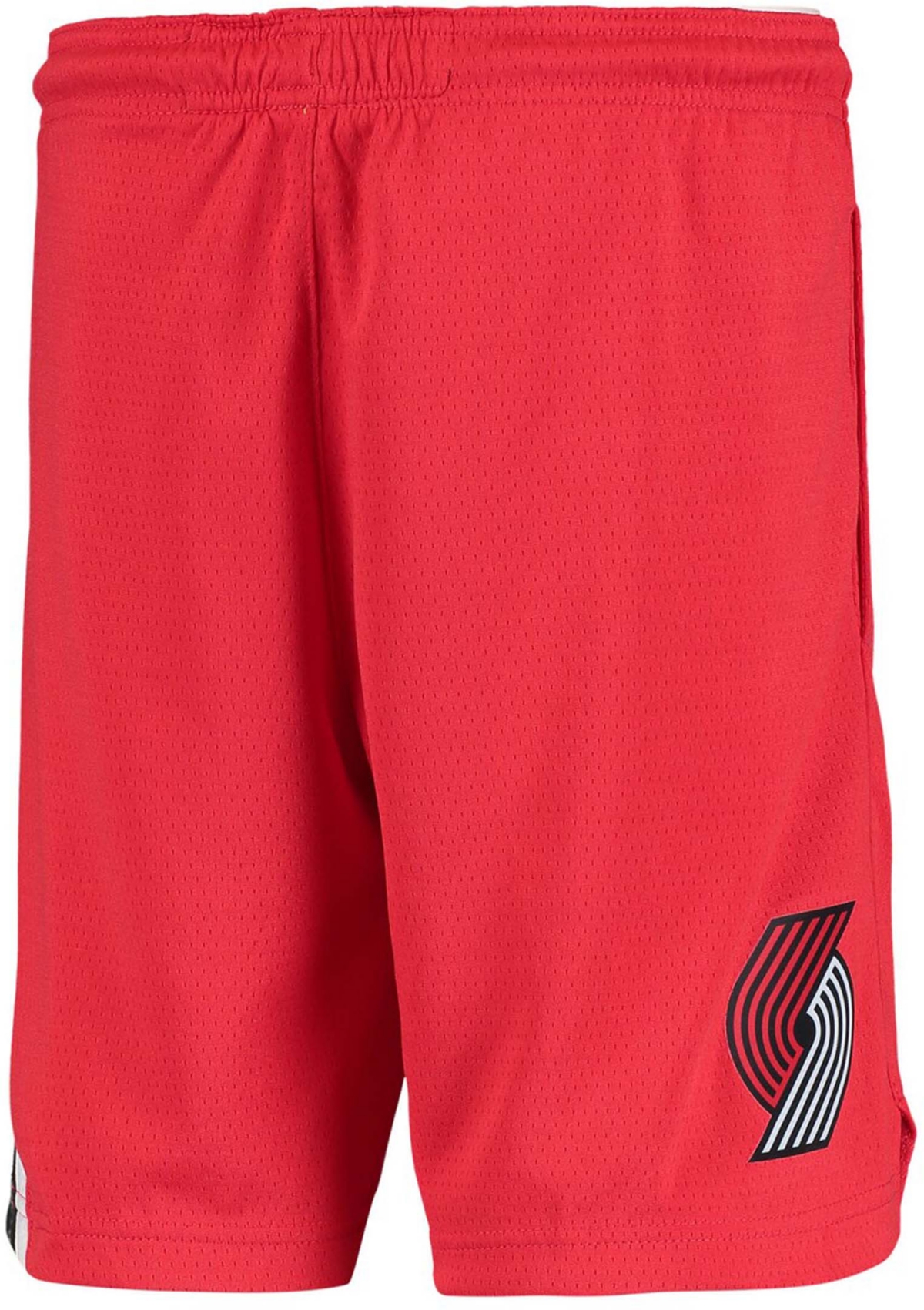 Jordan Big Boys And Girls Portland Trail Blazers 2019/20 Swingman Performance Shorts In No Color