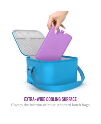 Ice Lunch Chillers 4 Pack