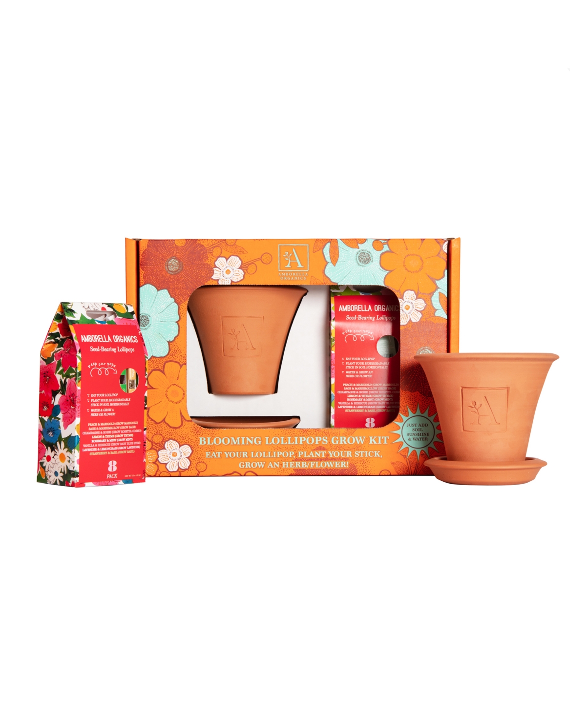 Amborella Organics Garden Lover's Grow Kit With Handmade Terra Cotta Pot And Saucer Gift Set, 8 Seed-bearing Lollipops