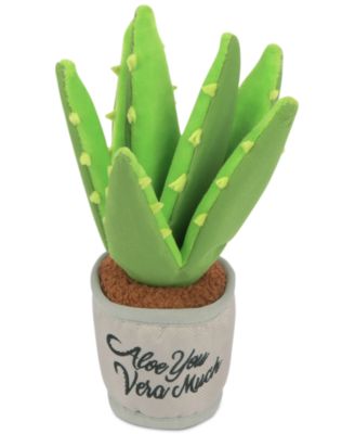 Blooming Buddies Collection: Aloe-ve You Plant