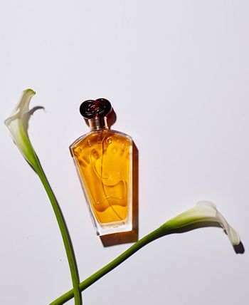 Borghese - Il Bacio Eau de Parfum Spray, 3.4 oz.