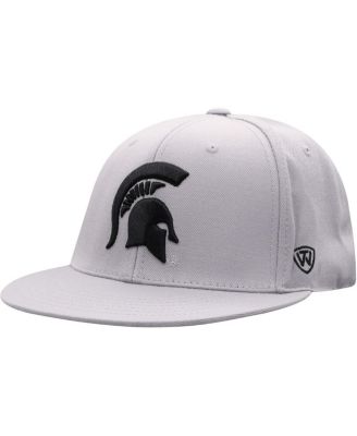 Men's Gray Michigan State Spartans Fitted Hat