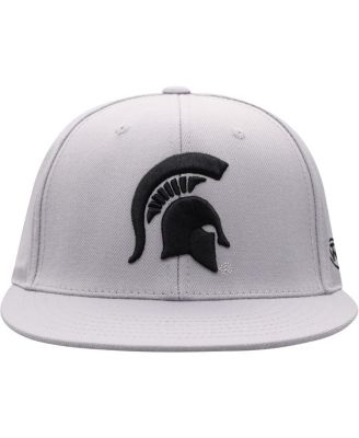 Men's Gray Michigan State Spartans Fitted Hat