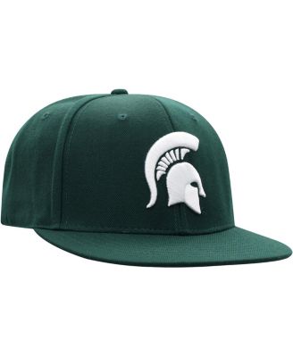 Men's Green Michigan State Spartans Team Color Fitted Hat