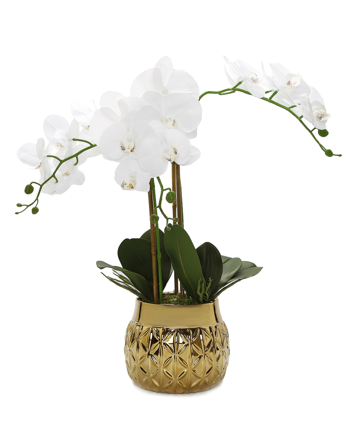 Orchid Plant in Round Hexagon Design Shiny Vase - Gold-Tone, White