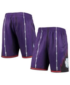 Men's Toronto Raptors Mitchell & Ness Purple Hardwood Classics Primary Logo  Swingman Shorts