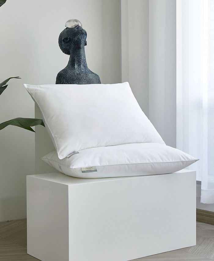 Kathy Ireland 2 Piece Pillow Set, King Macy's