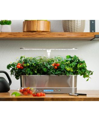 Macy's Aerogarden Harvest Elite Slim with Gourmet Herb Seed Pod Kit