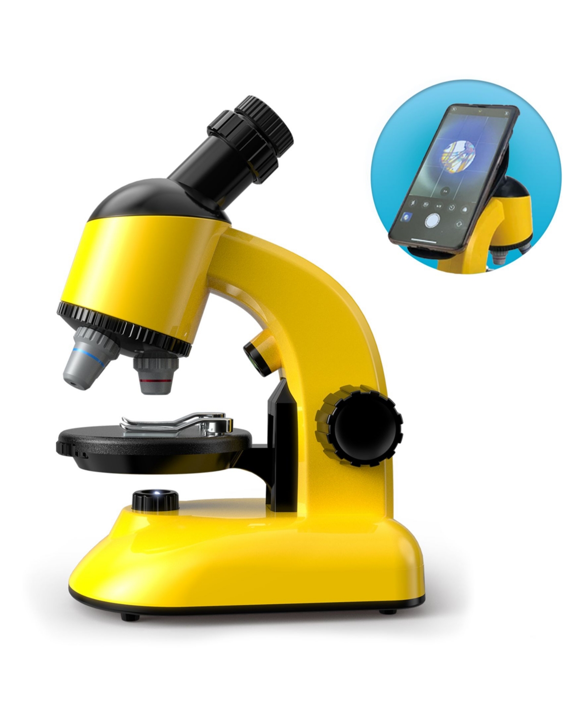 Shop Flat River Group Curious Mind Children's Microscope Toy In Multi