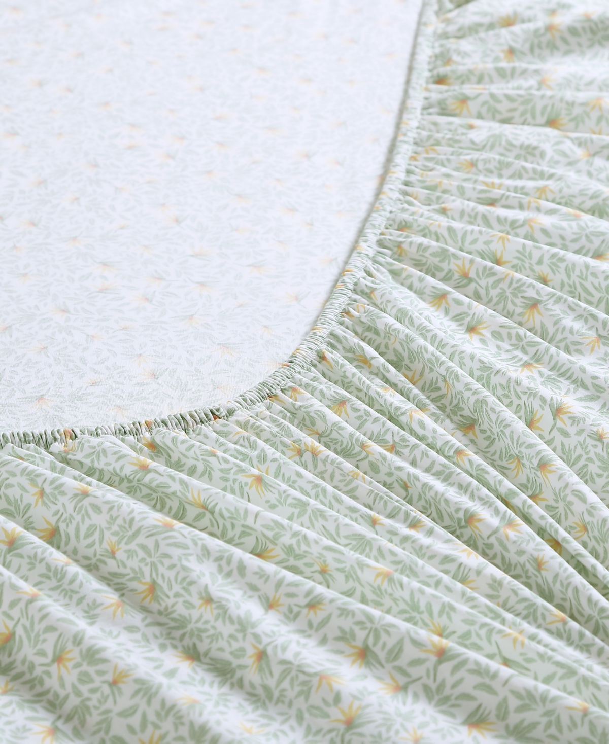 Tommy Bahama Home Crane Flower Cool Zone 200 Tc Percale Cotton 4 Piece Sheet Set,