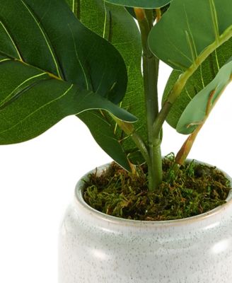 Artificial Plastic Fiddlehead Greenery in Ivory Pot, 20"