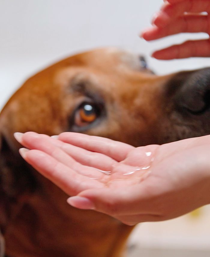 Petcode Paws 100 Pure Natural Argan Oil For Dogs, Cats Macy's